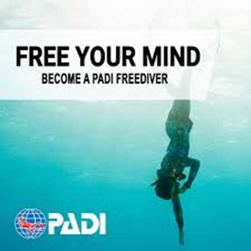 Freediver Basic Pool + eCODE